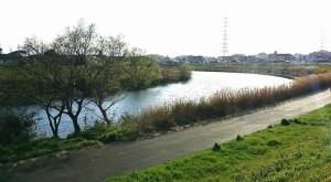 img_20170407_04